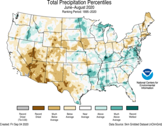 Summer 2020 US Total Precipitation Percentiles Map