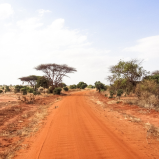 Red dirt road in the African savanna.