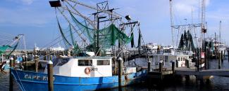 Picture of Fishing Boat in Pass Christian, Mississippi, by Barbara Ambrose, NOAA NCEI