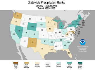 Alt text: Map of the U.S. showing statewide average precipitation ranks for January-August 2023 with wetter areas in gradients of blue and drier areas in gradients of yellow and the driest in red