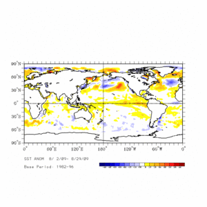 August 2009 SST Anomalies