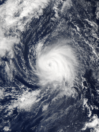 Click Here for a satellite image of Hurricane Kate