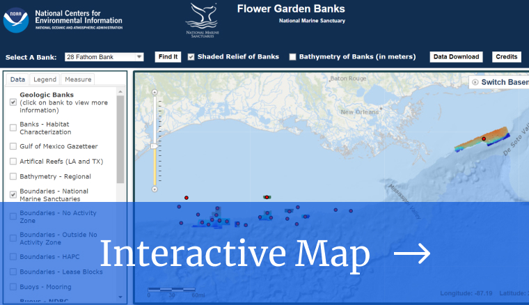 Flower Garden Maps preview image with a link to the interactive map