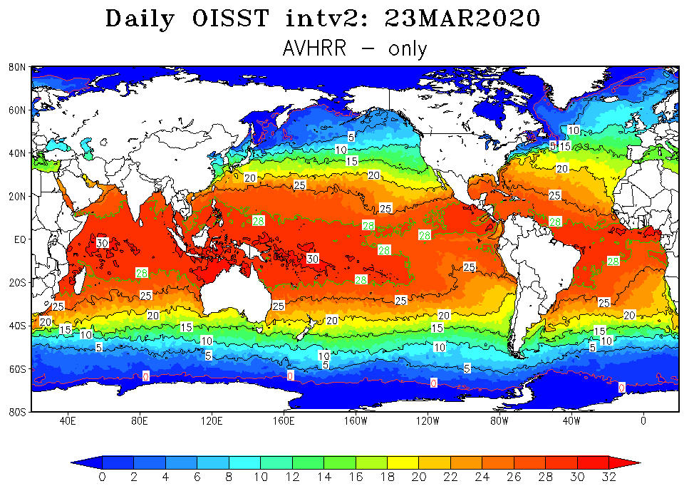 NCEI Improves Analysis Of Sea Surface Temperatures News National   DOISST Map March 23 2020 NCEI NOAA Cropped 