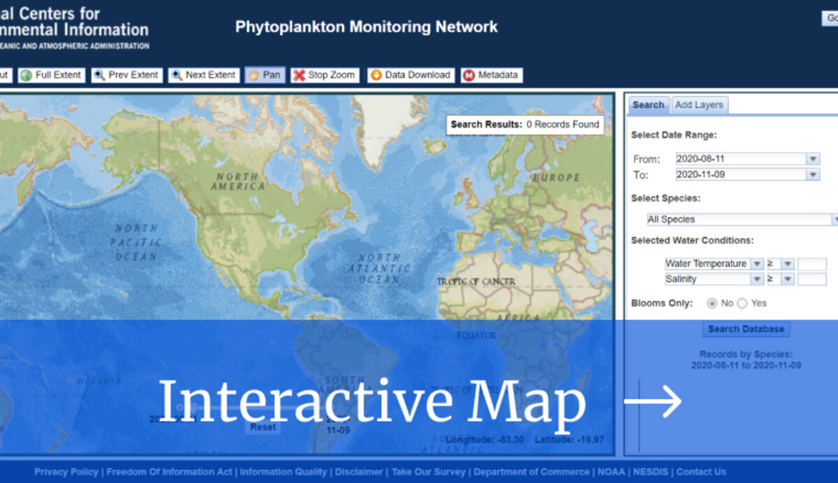 Link to Interactive Map, Phytoplankton Viewer