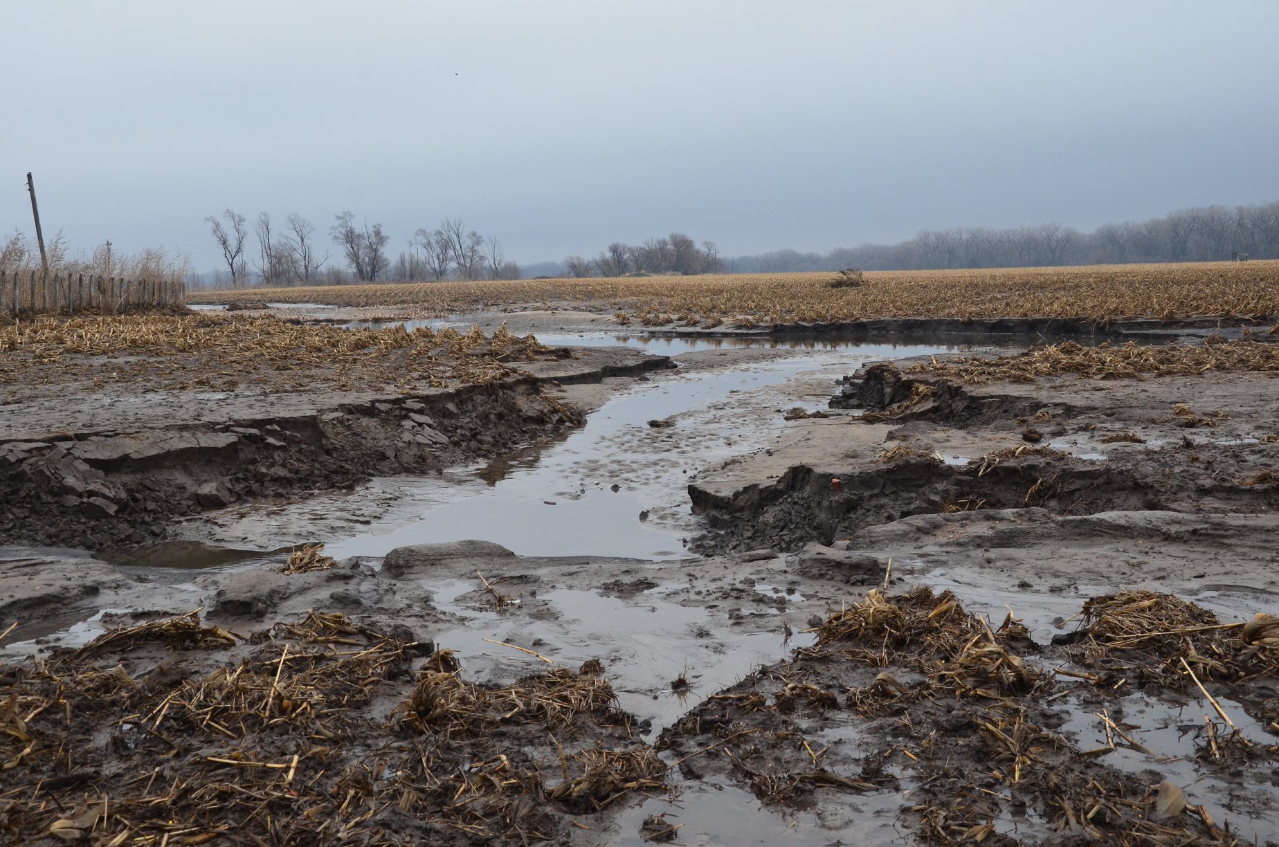 Extreme Wetness Of 2019 Sets Records News National Centers For Environmental Information Ncei
