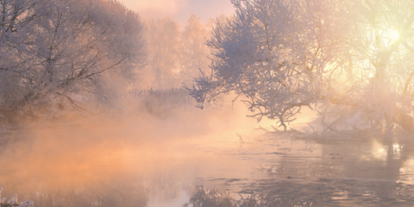 Foggy landscape with trees reflected in lake water and snow stuck to branches and gathered along the bank.