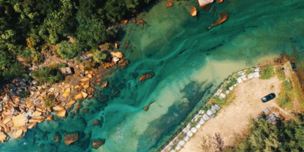 Aerial view of a river with a sandy bank on one side and a cluster of trees on the other side.