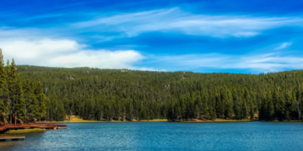 A lake surrounded by trees against a bright blue, slightly clouded sky.