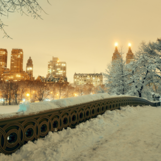 Wintry Central Park landscape with yellow-hued city lights in the background.