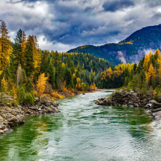 River running through a forest of green trees with the start of yellow foliage and mountains in the background.