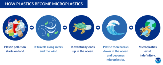 Graphic about “How Plastics Become Microplastics” in the ocean; text with arrows reads, “Plastic pollution starts on land. It travels along rivers and the wind. It eventually ends up in the ocean. Plastic then breaks down in the ocean and becomes microplastics. Microplastics exist indefinitely.”