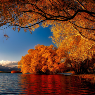 A lakeside overhung by trees whose leaves are changing color against a mountain range at sunrise.