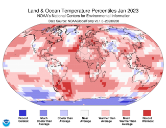 Map of the world showing land/ocean temperature percentiles for January 2023 with warmer areas in gradients of red and cooler areas in gradients of blue.