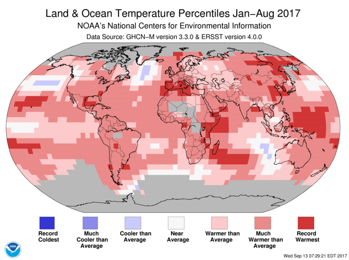Map of global temperature percentiles for January to August 2017